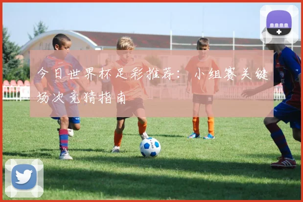今日世界杯足彩推荐:小组赛关键场次竞猜指南