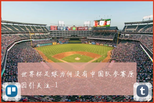 世界杯足球为何没有中国队参赛原因引关注_1