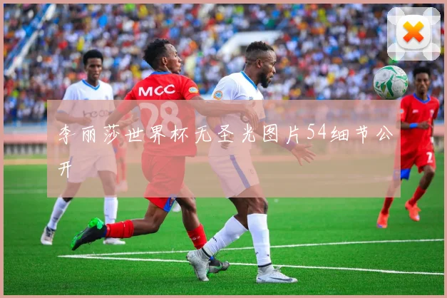 李丽莎世界杯无圣光图片54细节公开