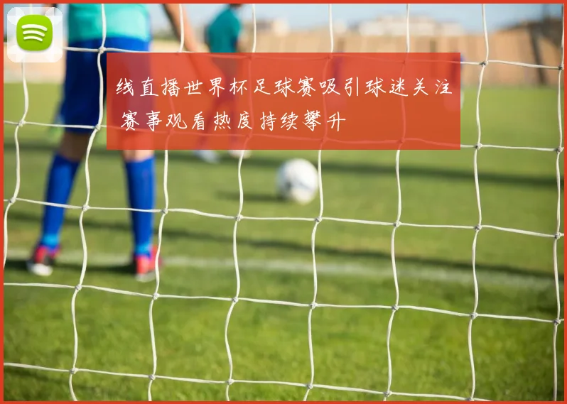 线直播世界杯足球赛吸引球迷关注 赛事观看热度持续攀升